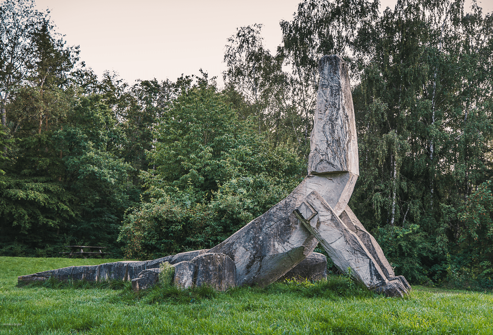 Abend Yoga einer Echse